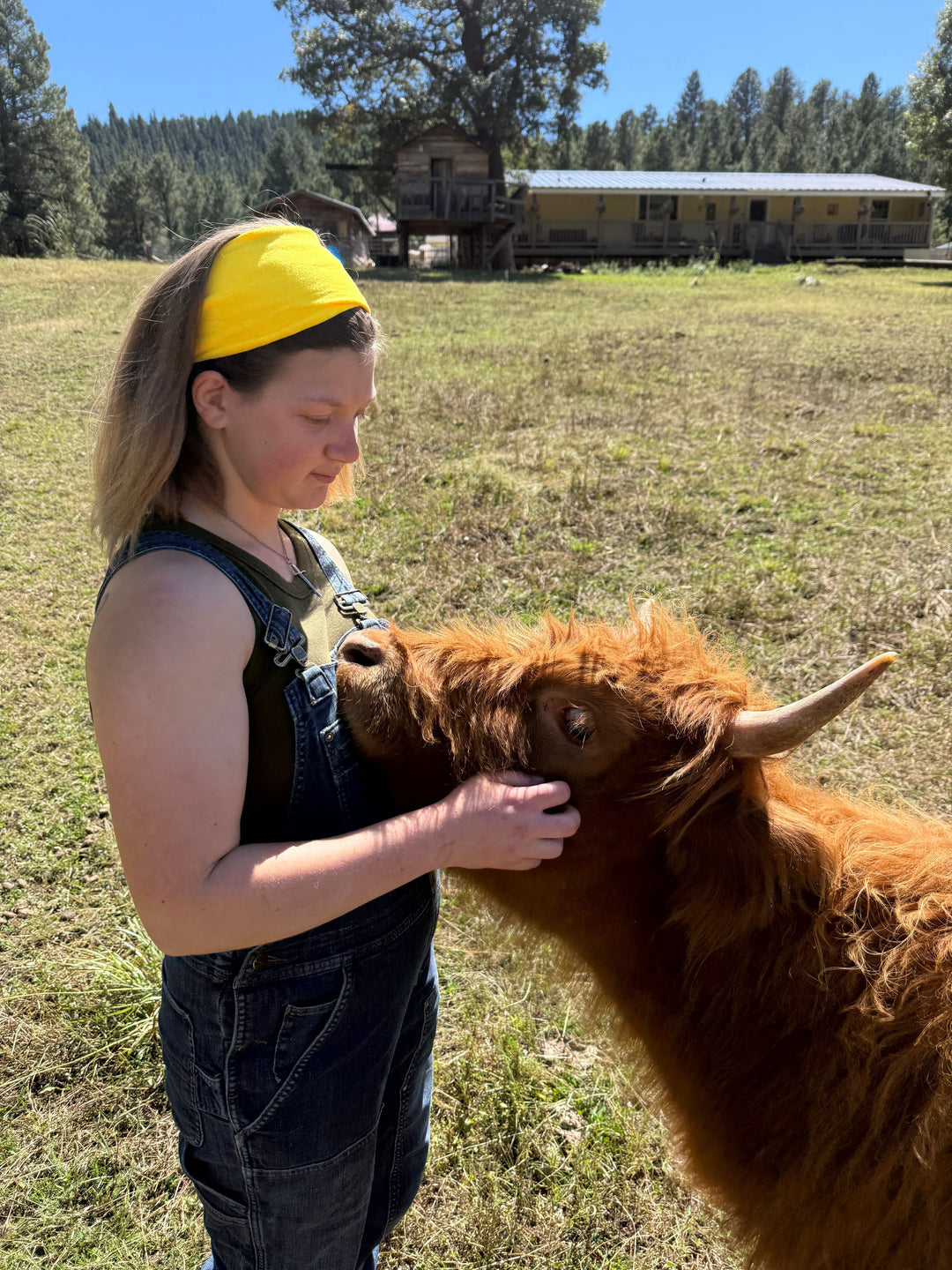 Little J Ranch Farm Sanctuary