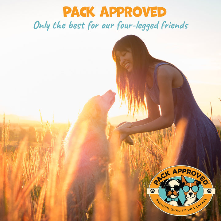 Pack Approved Chicken Chips for Dogs - 4 oz